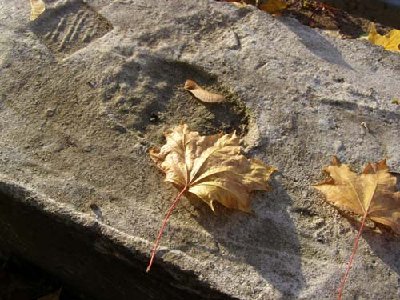 P9220127.JPG