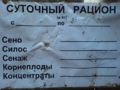 DSC00167.JPG