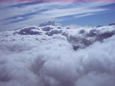 IMG_1680.jpg