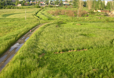 P1010035.jpg