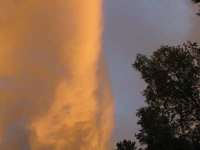 IMG_0137.jpg