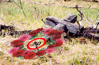 50_3.jpg