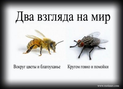2 ВЗГЛЯДА.jpg