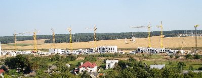 823077.jpg