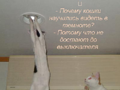 1210865895_0f9f6922b16c.jpg