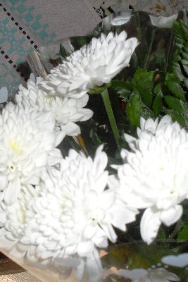 SDC12215.JPG