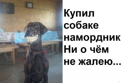 7c4cdd737196f7fe59bd23023c4d1d53.jpg