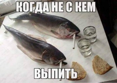 сельдь.jpg