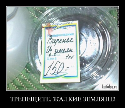 1386666136_016.jpg