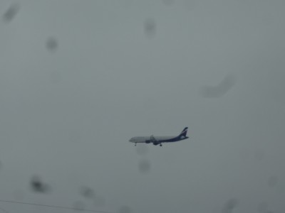 DSC05658.JPG