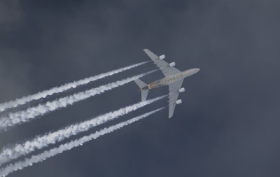 DSC_99852_01.JPG