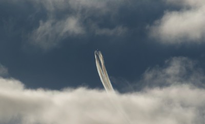 DSC_99791_01.JPG