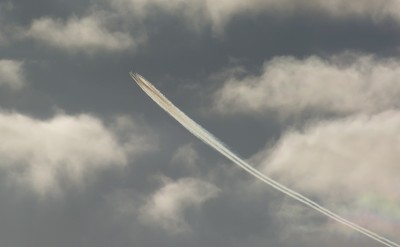 DSC_99721_01.JPG