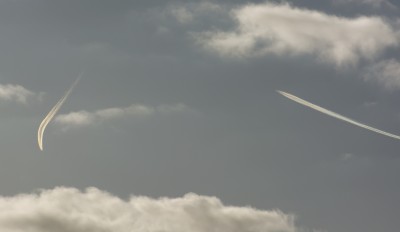 DSC_99691_01.JPG