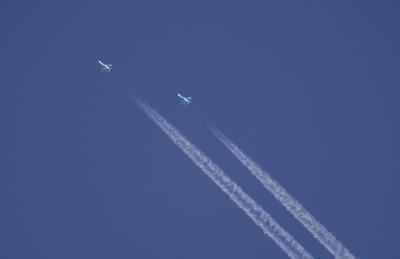 DSC_1113_01.JPG