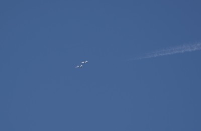 DSC_0990_01.JPG