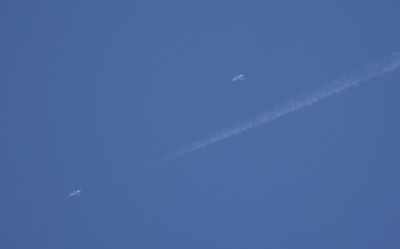 DSC_0799_01.JPG