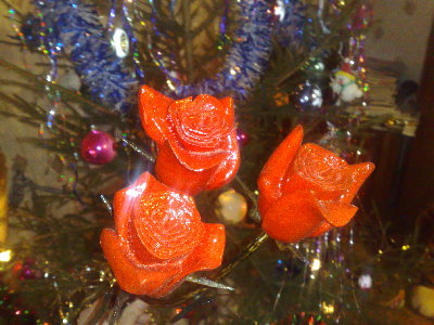 02012010494.jpg