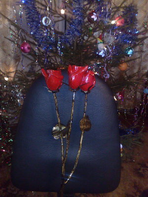 02012010495.jpg