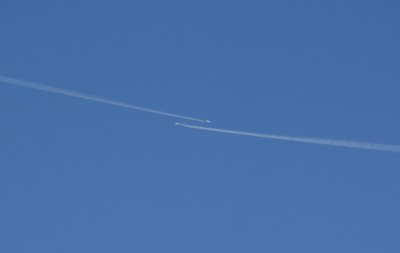 DSC_1218_01.JPG