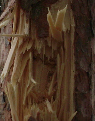 0240888.jpg