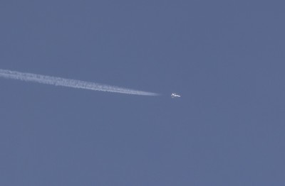 DSC_1907_01.JPG