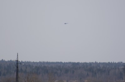DSC_1981_01.JPG