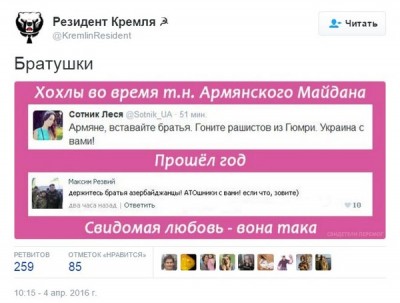 7951172.jpg