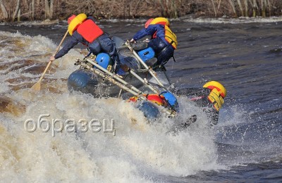 IMG_0236_hf.jpg