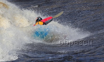 IMG_0221_hf.jpg