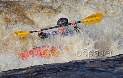 IMG_0204_hf.jpg