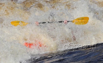 IMG_0199_hf.jpg