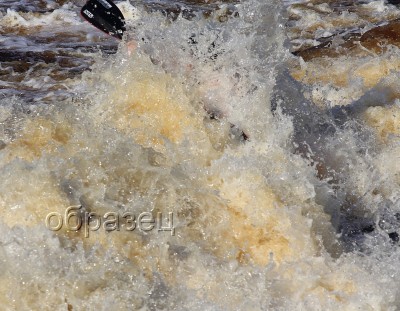 IMG_0319_hf.jpg
