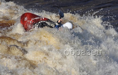 IMG_0430_hf.jpg