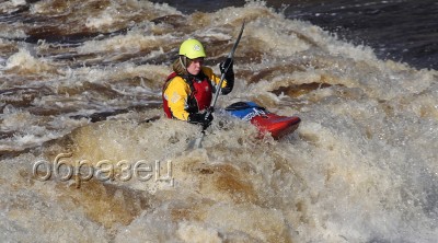 IMG_0346_hf.jpg