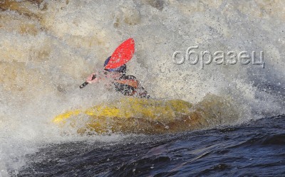 IMG_0338_hf.jpg