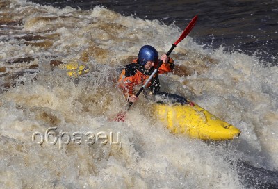 IMG_0336_hf.jpg