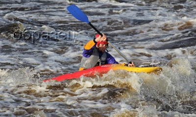 IMG_0514_hf.jpg