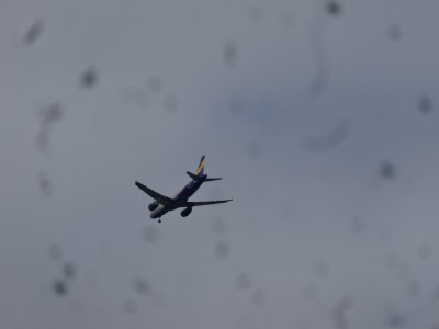 DSC06750.JPG