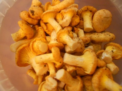 DSCN4383.jpg