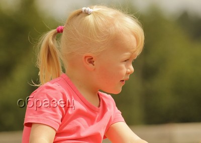 IMG_2313_hf.jpg