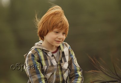 IMG_0982_hf.jpg