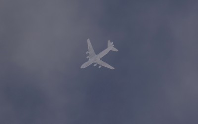 DSC_14448_01.JPG