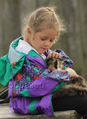 IMG_3666_hf.jpg