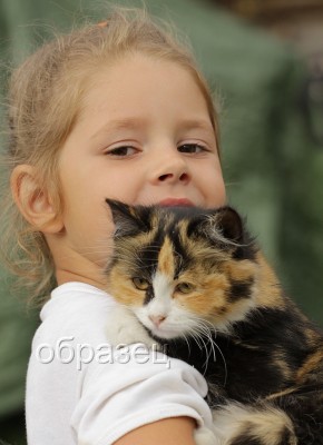 IMG_3700_hf.jpg