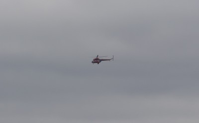 DSC_1549_01.JPG