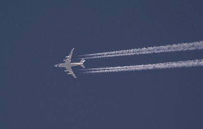 DSC_2544_01.JPG