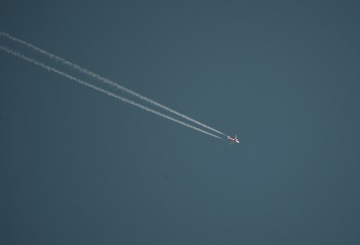 3R6X8178.JPG
