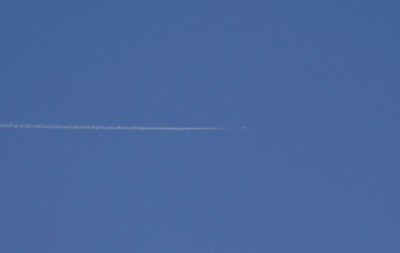 DSC_3035_01.JPG
