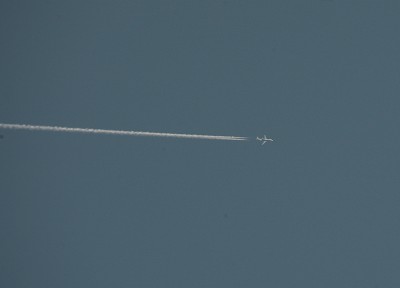 3R6X8239.JPG